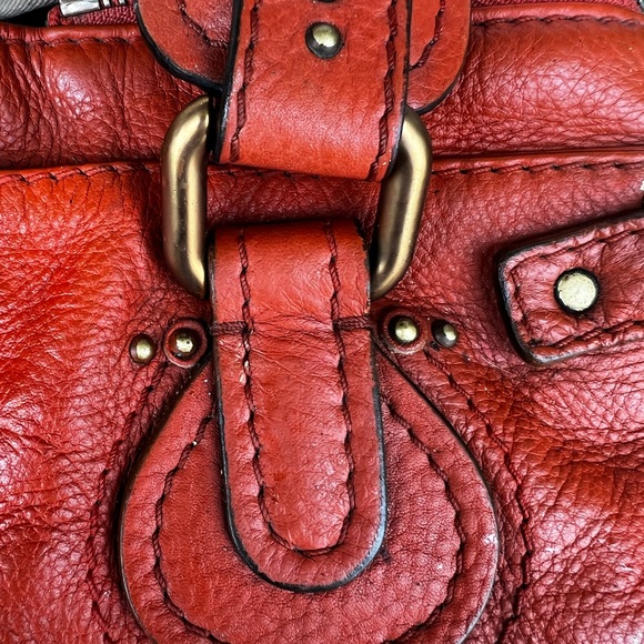 Pumpkin Chloë Paddington - Picture 5 of 11